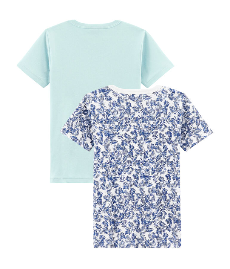 Lot de 2 tee-shirts manches courtes petit gar&ccedil;on multicouleur