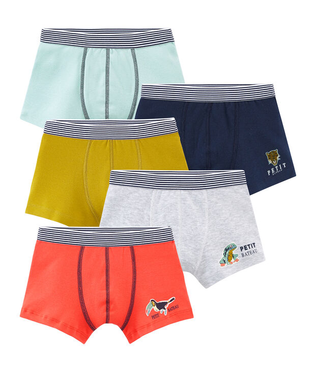 Lot de 5 boxers petit gar&ccedil;on multicouleur