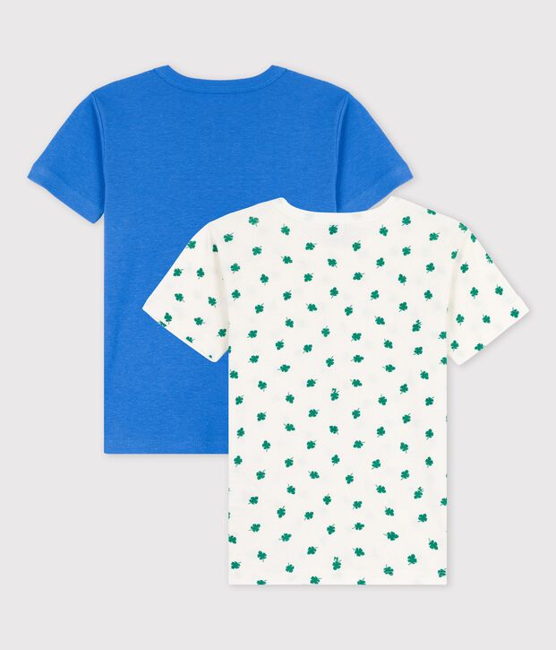 Lot de 2 t-shirts manches courtes palmes petit gar&ccedil;on en coton multicouleur