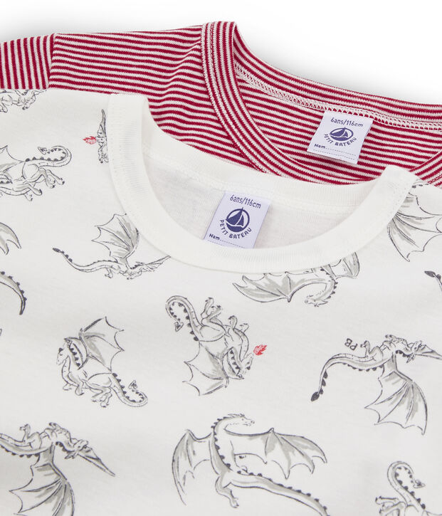 Duo de tee-shirts manches courtes petit gar&ccedil;on multicouleur