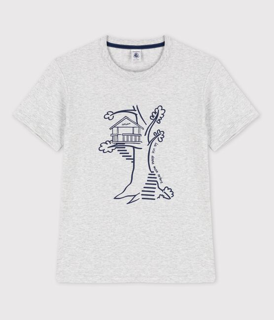 Tee-shirt manches courtes en coton enfant garçon gris POUSSIERE CHINE