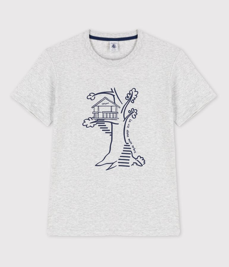 Tee-shirt manches courtes en coton enfant gar&ccedil;on gris POUSSIERE CHINE