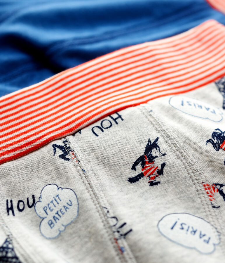 Lot de 2 boxers imprim&eacute; Paris petit gar&ccedil;on en coton biologique multicouleur