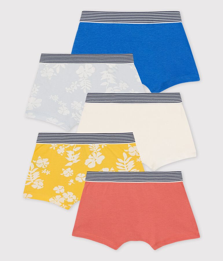 Lot de 5 boxers petit gar&ccedil;on Hawa&iuml; en coton multicouleur