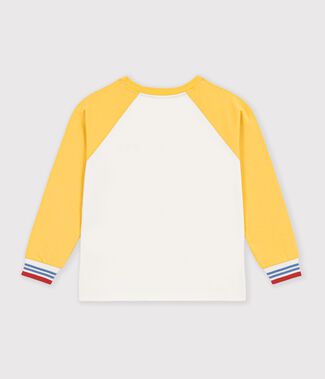 &eacute;cru/multicouleur