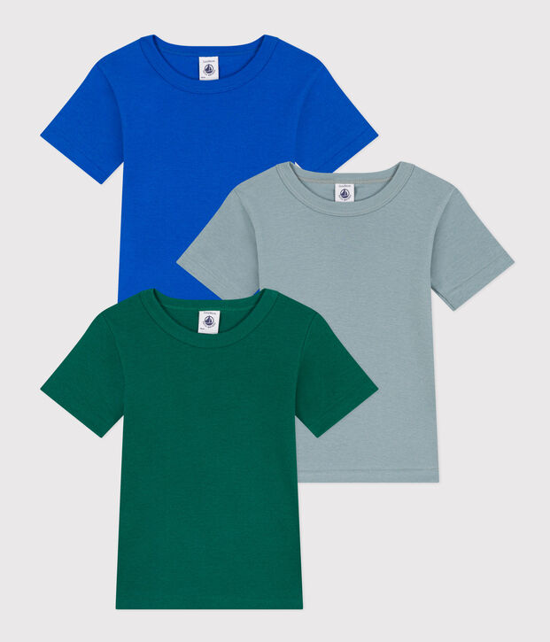 Lot de 3 tee-shirts manches courtes en coton petit gar&ccedil;on multicouleur
