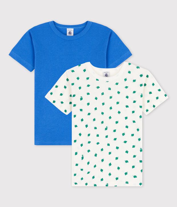 Lot de 2 t-shirts manches courtes palmes petit gar&ccedil;on en coton multicouleur