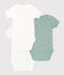 LOT DE 3 BODIES MANCHES COURTES BÉBÉ EN COTON variante 1