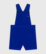 bleu SURF