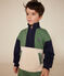 Sweatshirt col camionneur en molleton enfant gar&ccedil;on &eacute;cru/multicouleur