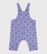 violet/multicouleur