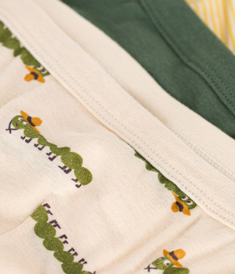 Lot de 3 slips millepatte en coton enfant multicouleur