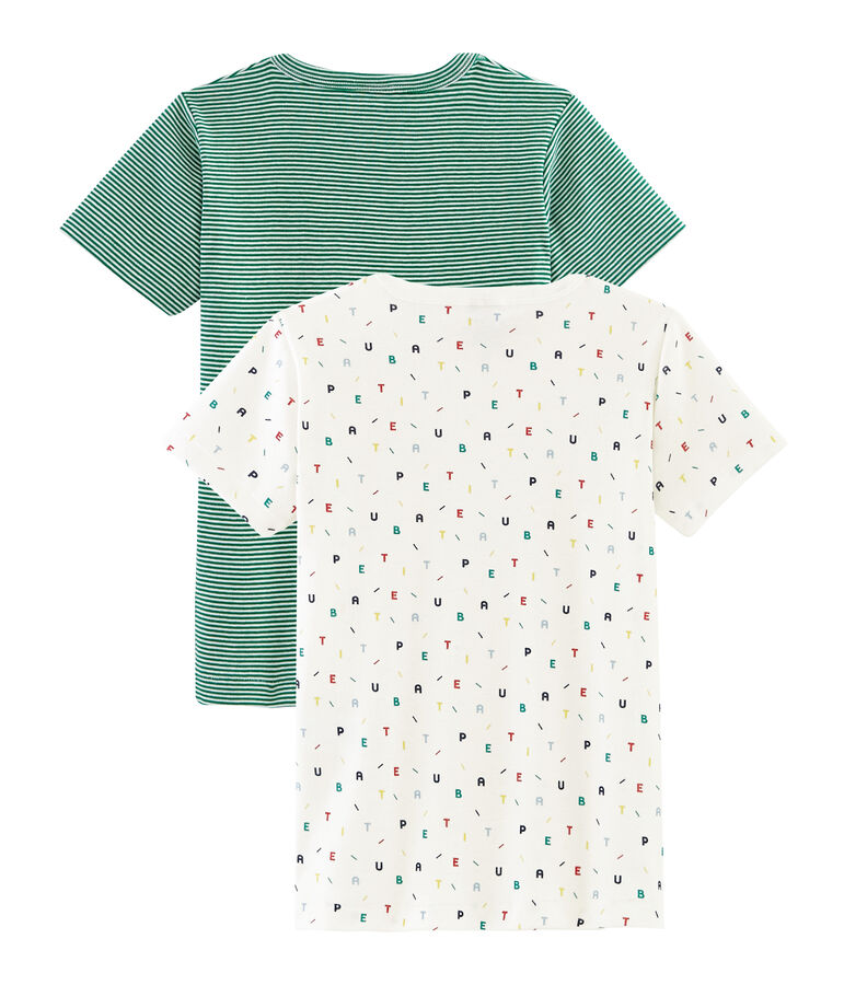 Duo de tee-shirts manches courtes petit gar&ccedil;on multicouleur