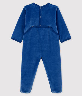 bleu MAJOR