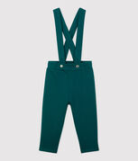 vert PINEDE