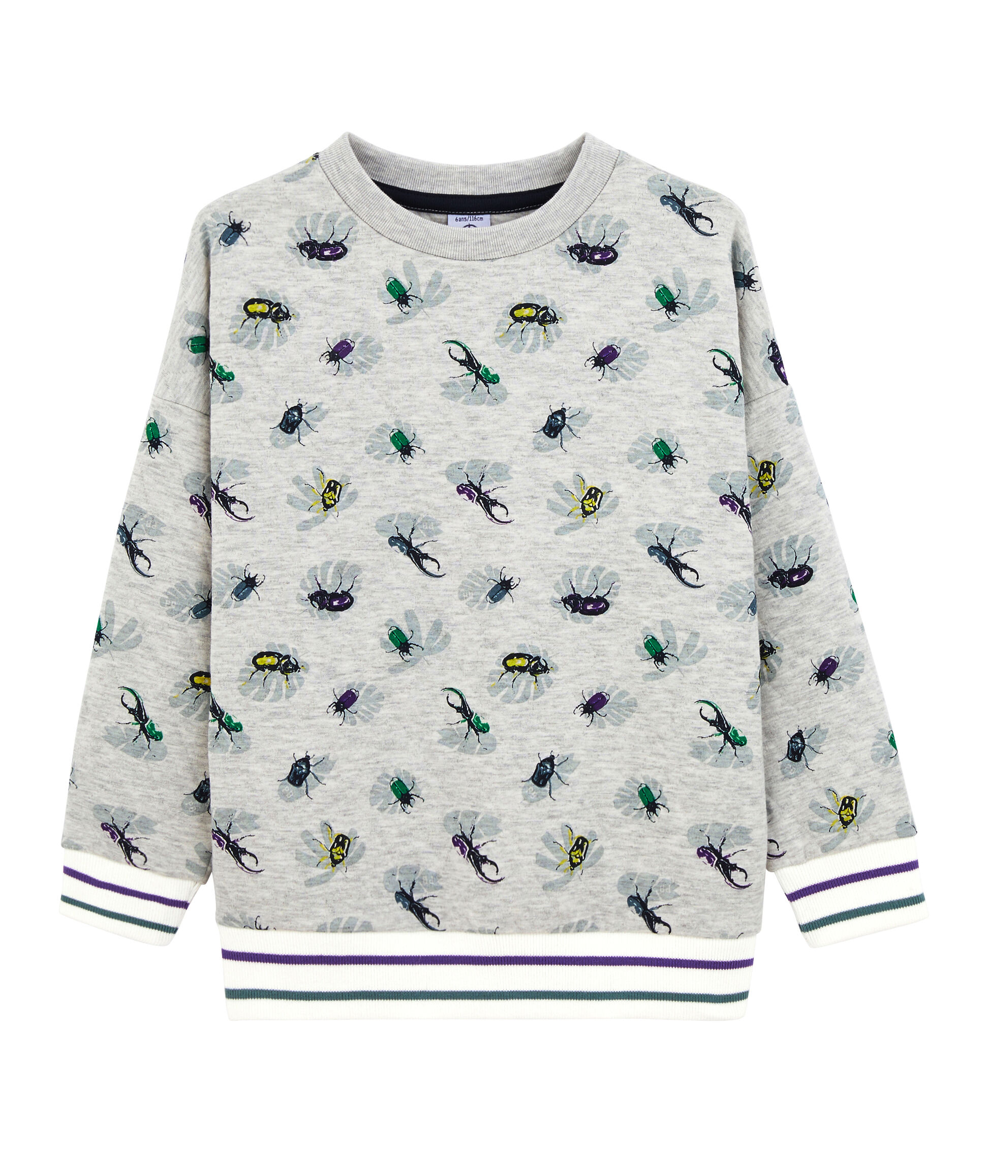 Petit Bateau Sweat-Shirt Garçon Petit Bateau Sweat-Shirt Garçon