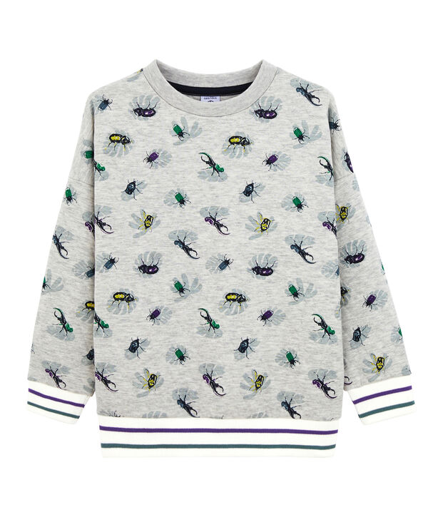 Sweat shirt enfant gar&ccedil;on gris/multicouleur
