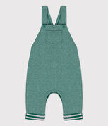 EVERGREEN/ FUMEE