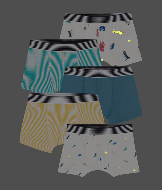 Lot de 5 boxers en coton petit garçon variante 1