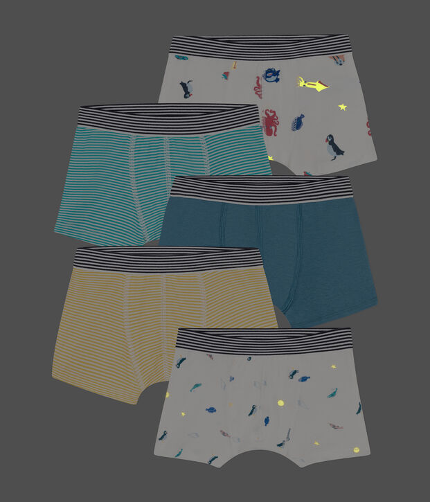 Lot de 5 boxers en coton petit gar&ccedil;on multicouleur