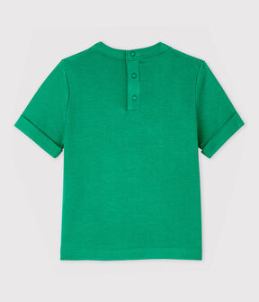 vert GAZON
