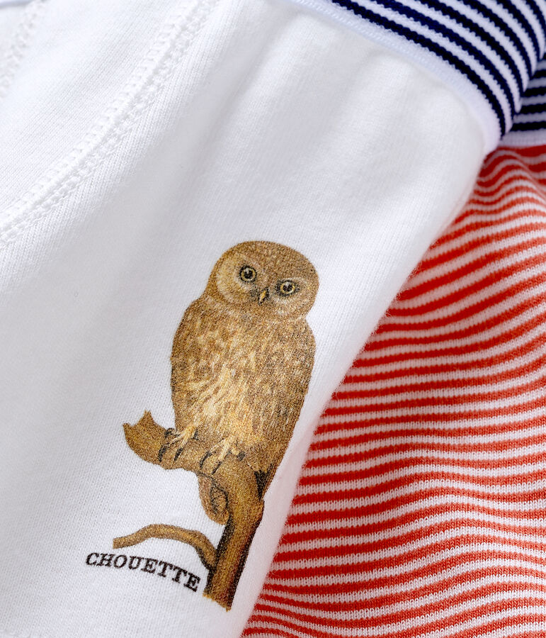 Lot de 2 boxers petit gar&ccedil;on Petit Bateau x Deyrolle Variante 1 PACK