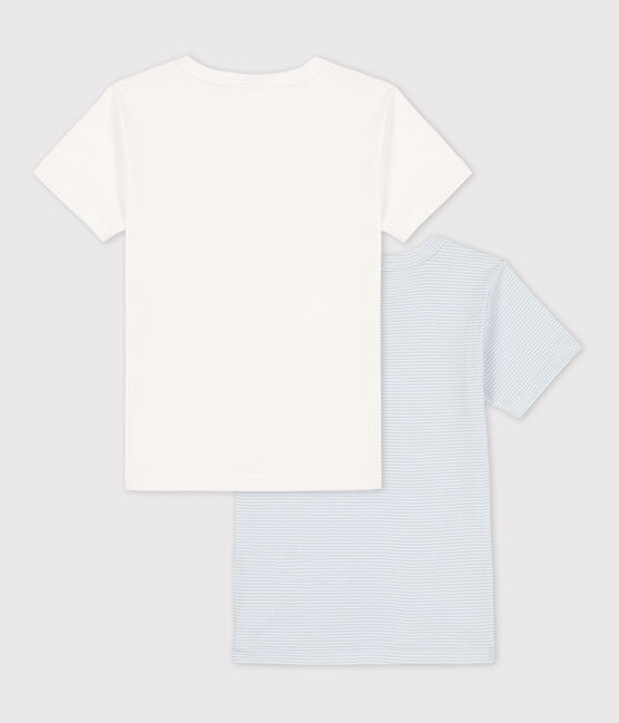 Lot de 2 tee-shirts manches courtes milleraies petit garçon en coton variante 1