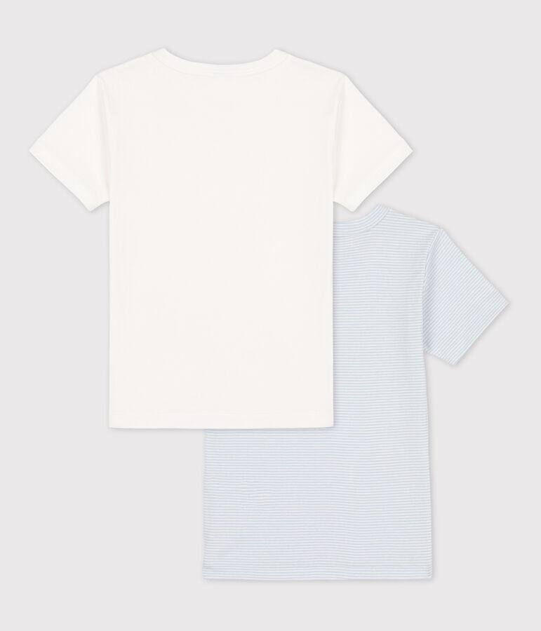 Lot de 2 tee-shirts manches courtes milleraies petit gar&ccedil;on en coton multicouleur