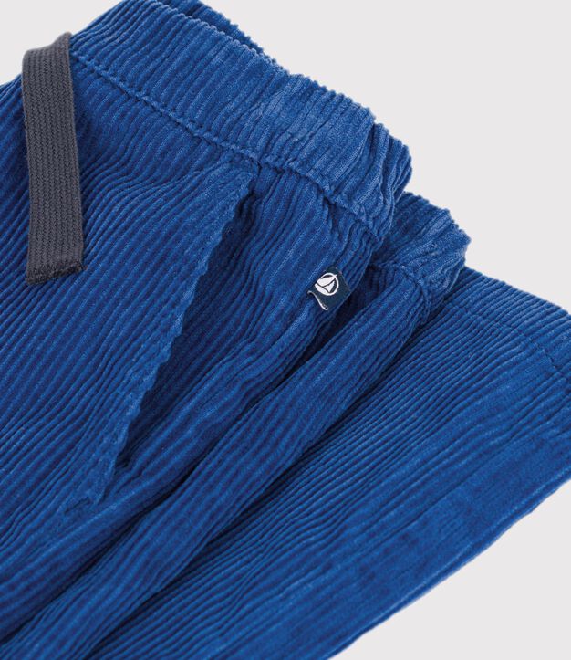 Pantalon droit en velours bleu