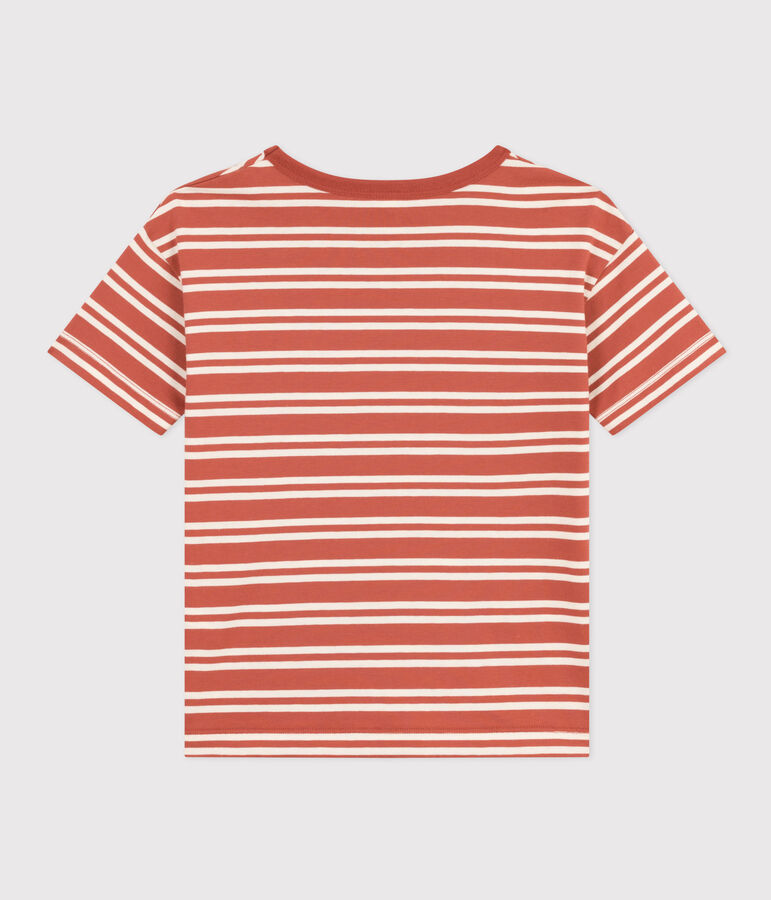 Tee-shirt ray&eacute; en jersey enfant gar&ccedil;on marron/&eacute;cru