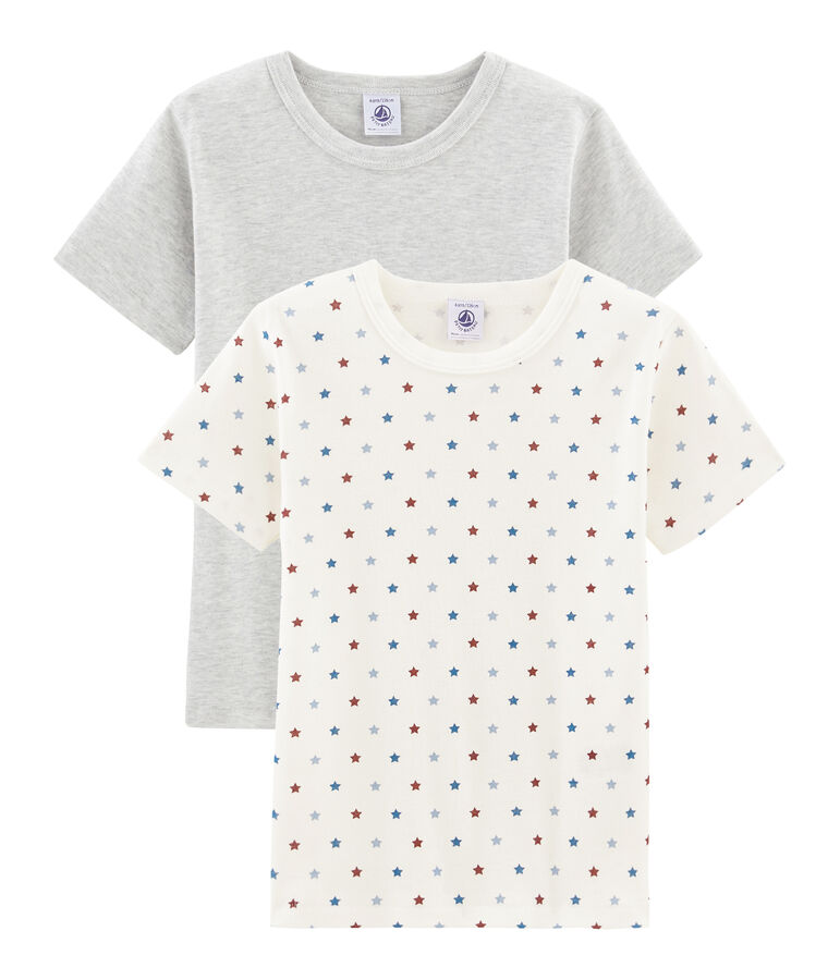 Duo de tee-shirts manches courtes petit gar&ccedil;on multicouleur