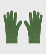vert PALMERAIE