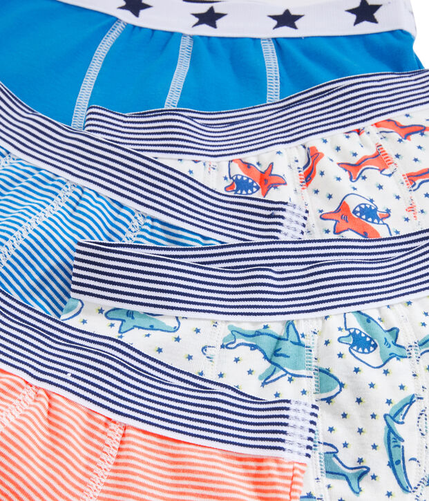 Lot de 5 boxers petit gar&ccedil;on multicouleur