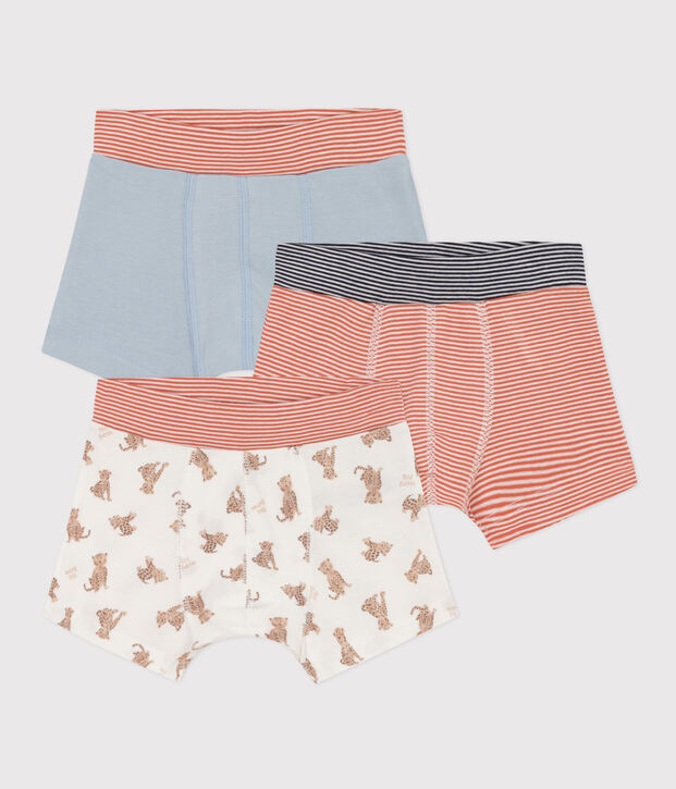 Lot de 3 boxers l&eacute;opards en coton  petit gar&ccedil;on multicouleur