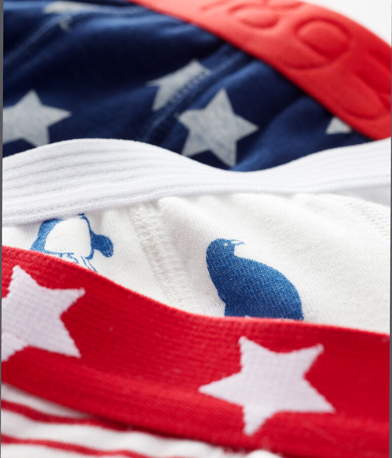 Lot de 3 boxers imprim&eacute;s petit gar&ccedil;on multicouleur