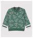 Sweatshirt en molleton brossé bébé garçon