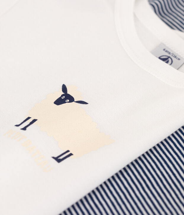 Lot de 2 tee-shirts manches longues milleraies petit gar&ccedil;on en coton multicouleur