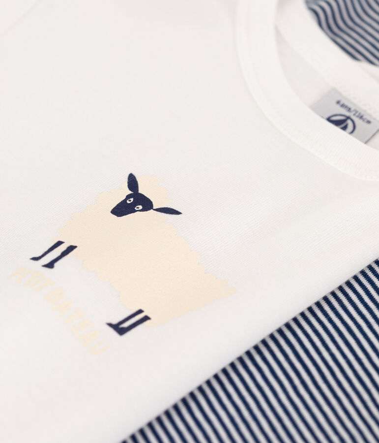 Lot de 2 tee-shirts manches longues milleraies petit gar&ccedil;on en coton multicouleur