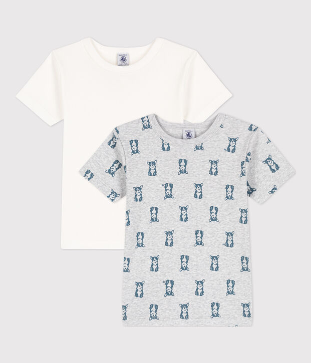 Lot de 2 tee-shirts manches courtes chien petit gar&ccedil;on en coton multicouleur