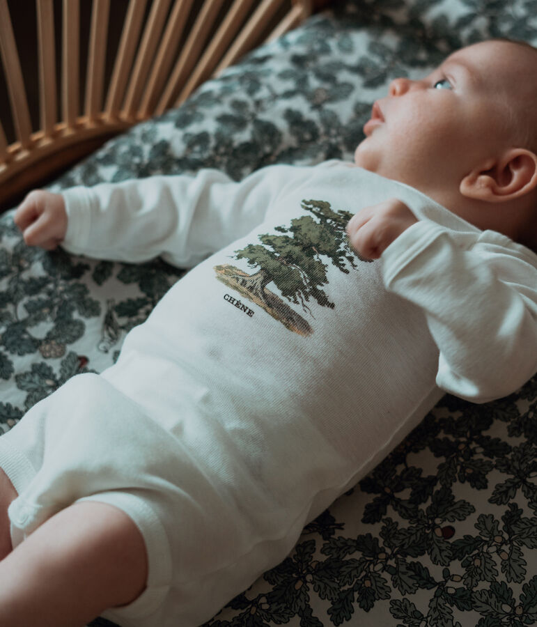 Lot de 3 bodies manches longues b&eacute;b&eacute; gar&ccedil;on Petit Bateau x Deyrolle multicouleur