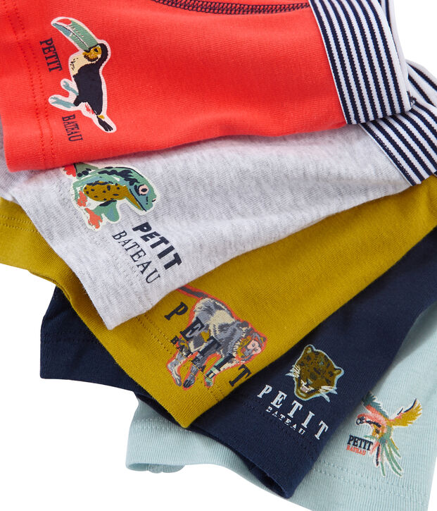 Lot de 5 boxers petit gar&ccedil;on multicouleur