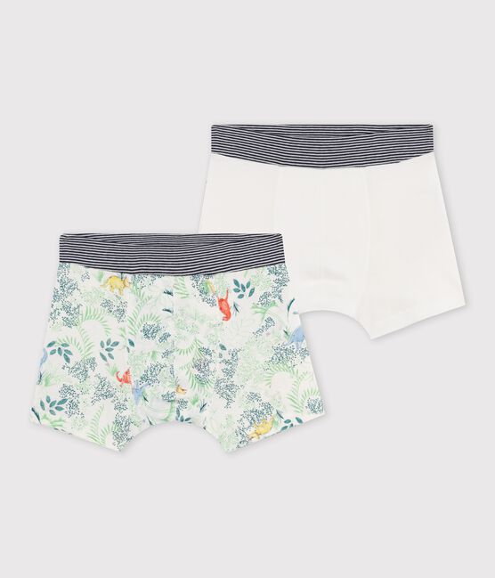 Duo de boxers petit garçon variante 1