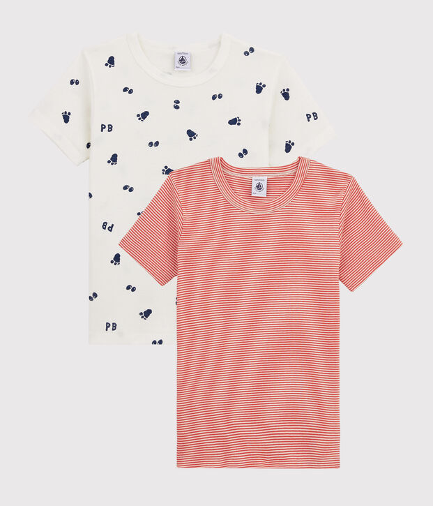Lot de 2 tee-shirts manches courtes imprim&eacute; patte de y&eacute;ti petit gar&ccedil;on multicouleur