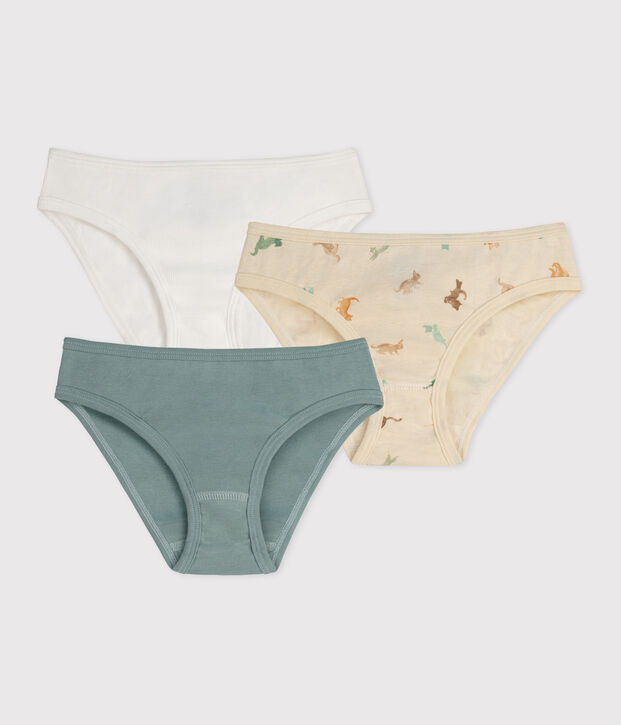 Lot de 3 culottes enfant en coton imprim&eacute; multicouleur