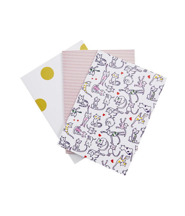 Lot de trois carnets blanc/multicouleur