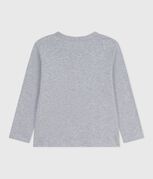 gris FUMEE CHINE