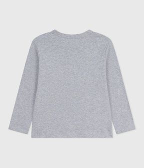 gris FUMEE CHINE