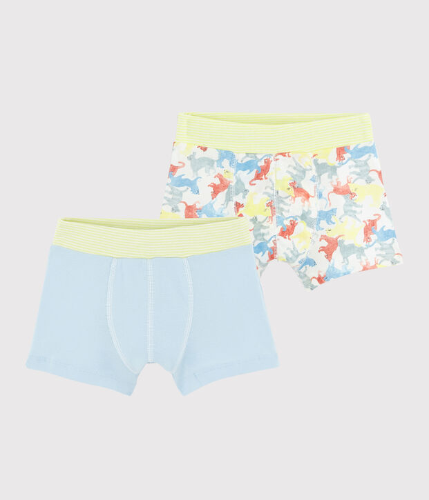 Lot de 2 boxers imprim&eacute; chats petit gar&ccedil;on en coton biologique multicouleur