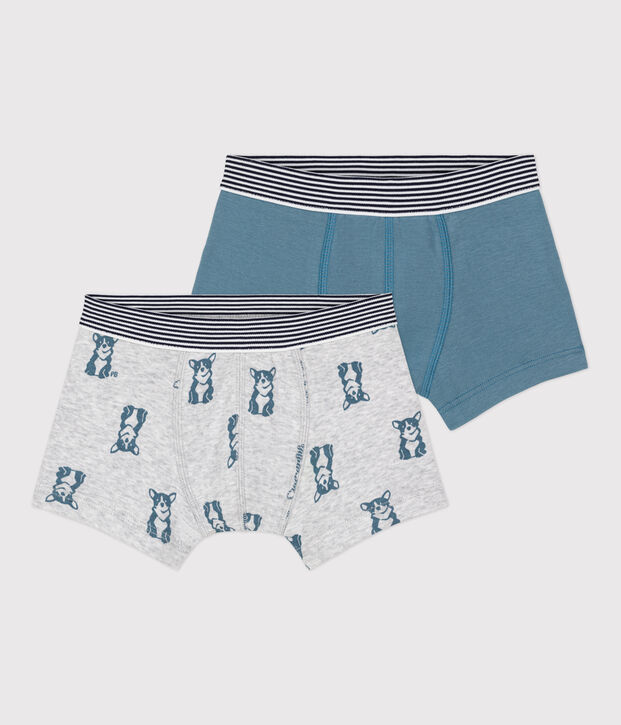 Lot de 2 boxers chien petit gar&ccedil;on en coton multicouleur