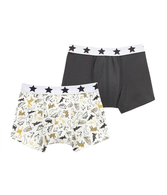 Duo de boxers petit garçon variante 1